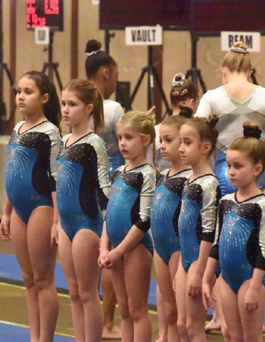 Picture of gymnasts hanging on a bar